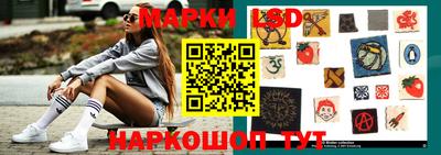 Альфа ПВП Будённовск
