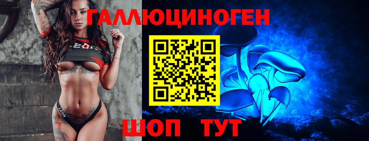 Псилоцибиновые грибы Cubensis Моршанск