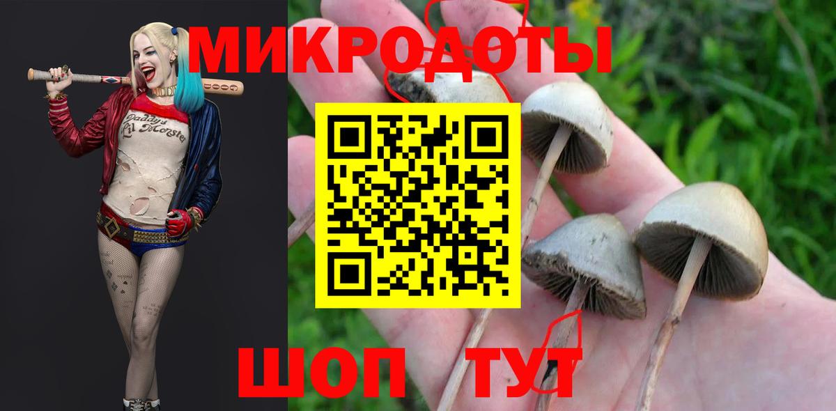 Галлюциногенные грибы мухоморы  Вход с VPN  Моршанск 